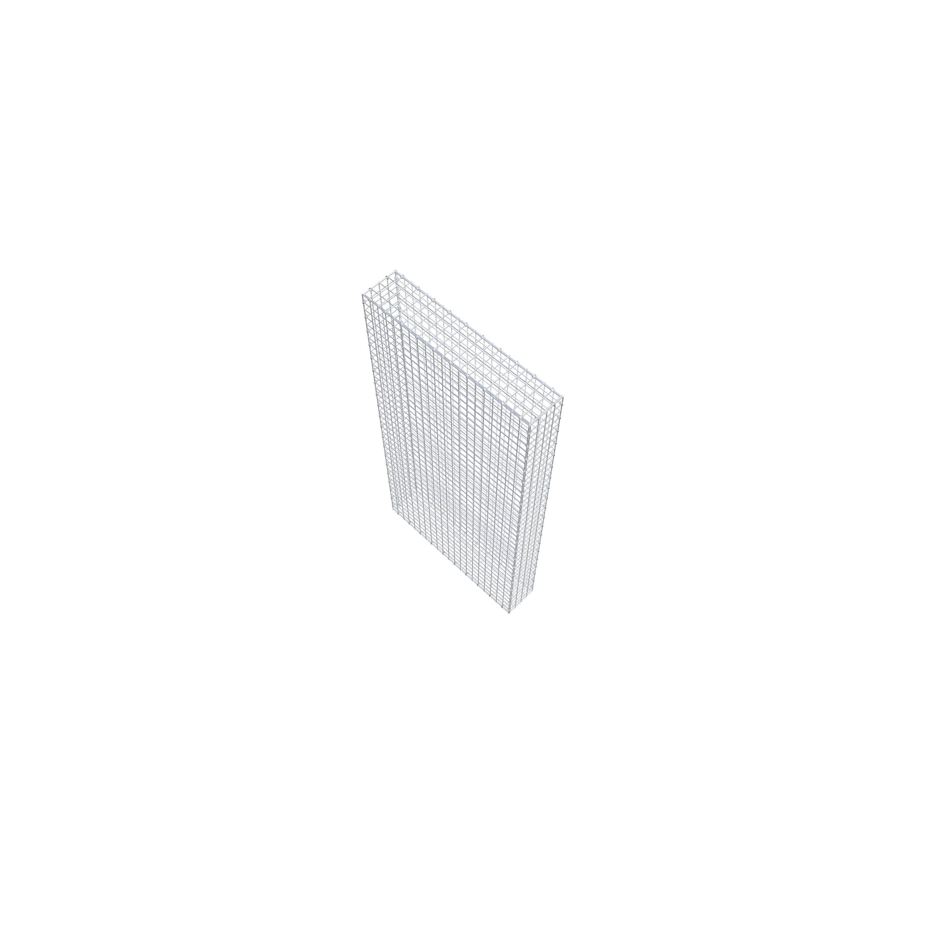 Gabion 200 cm x 100 cm x 20 cm (L x H x P), mailles 5 cm x 5 cm, anneau en C