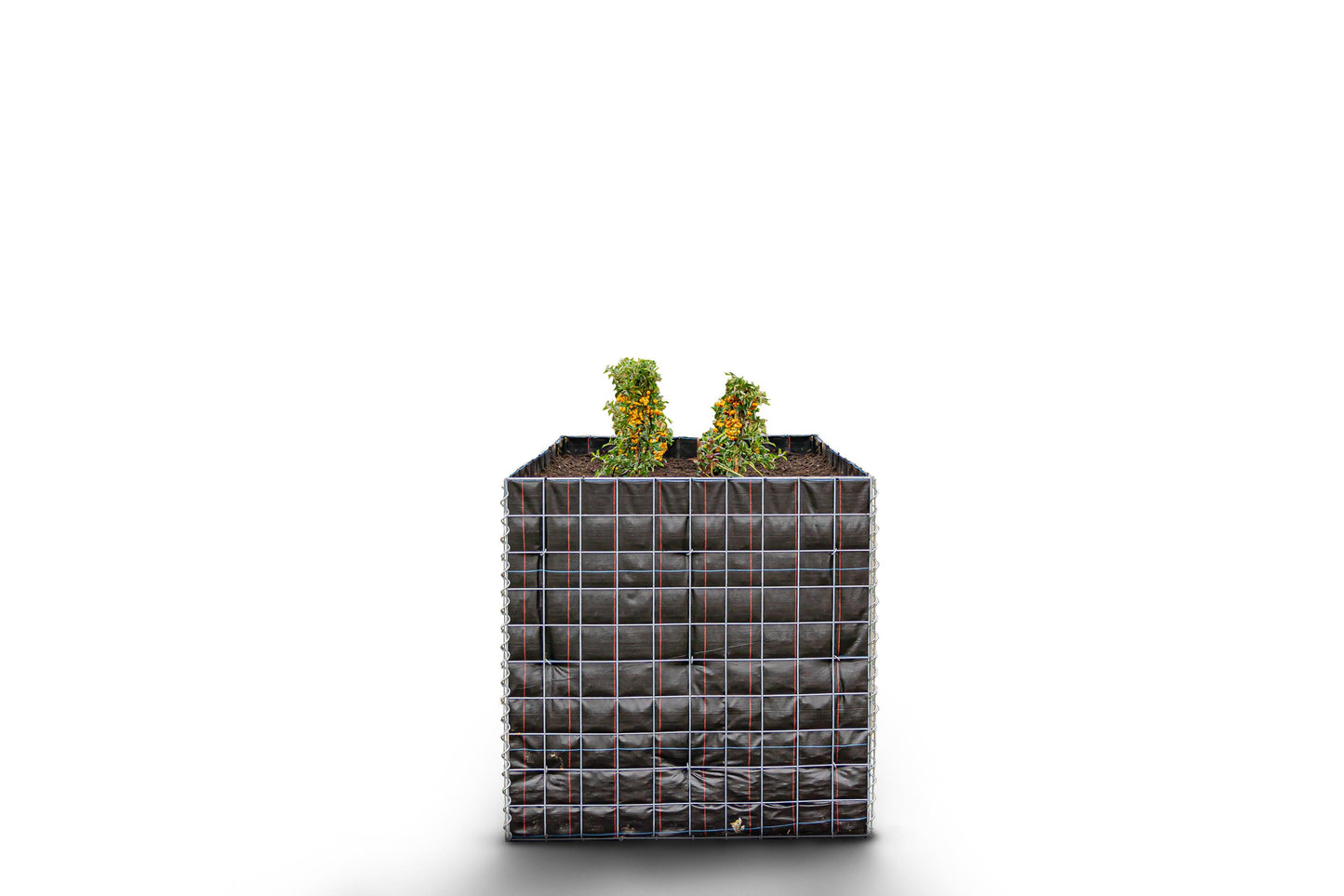 Lecho elevado rectangular sin zona de piedras - Longitud: 100 cm - Altura: 100 cm - Profundidad: 70 cm - Luz de malla: 10 x 10 cm