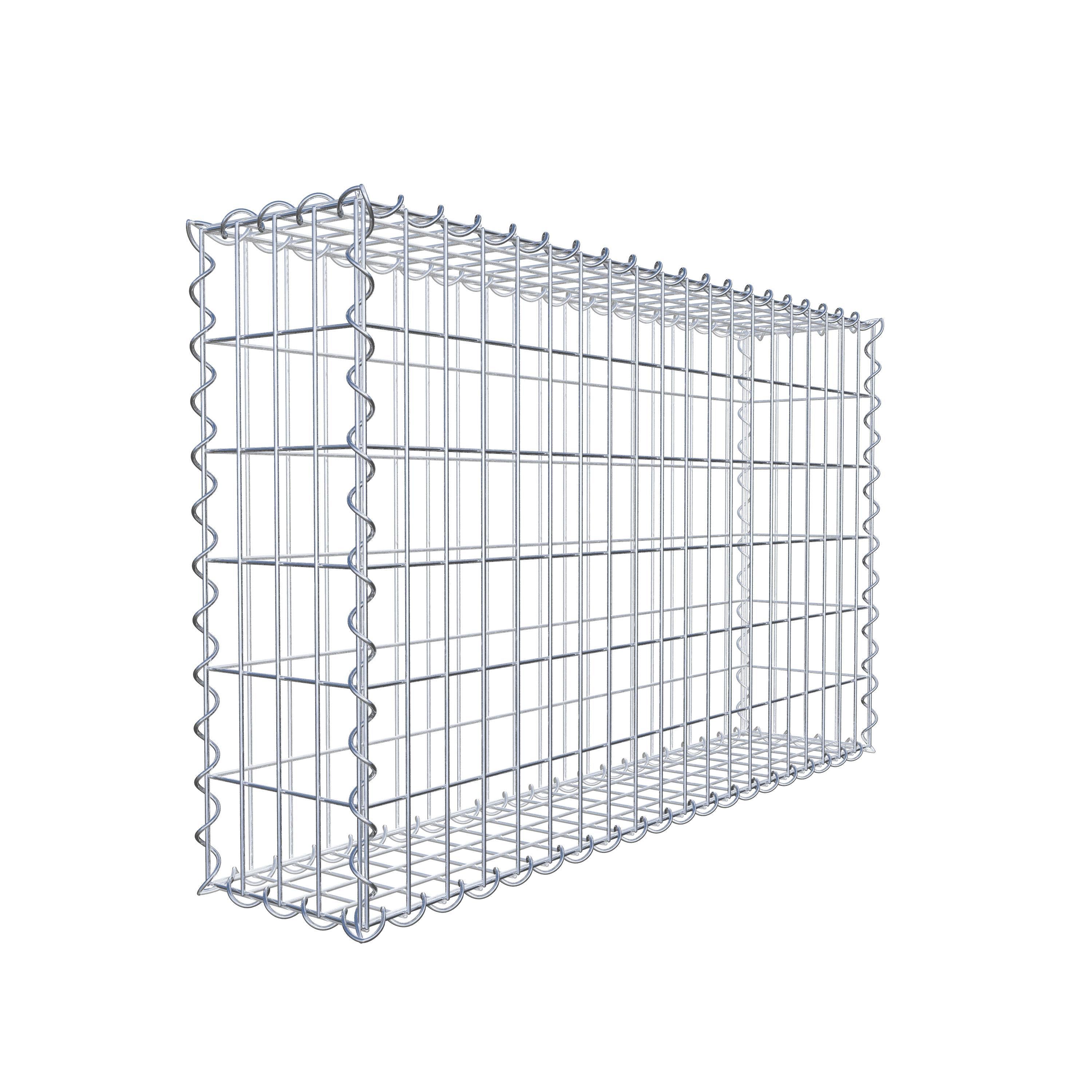 Gabion 100 cm x 60 cm x 20 cm (L x H x P), maille 5 cm x 10 cm, spirale