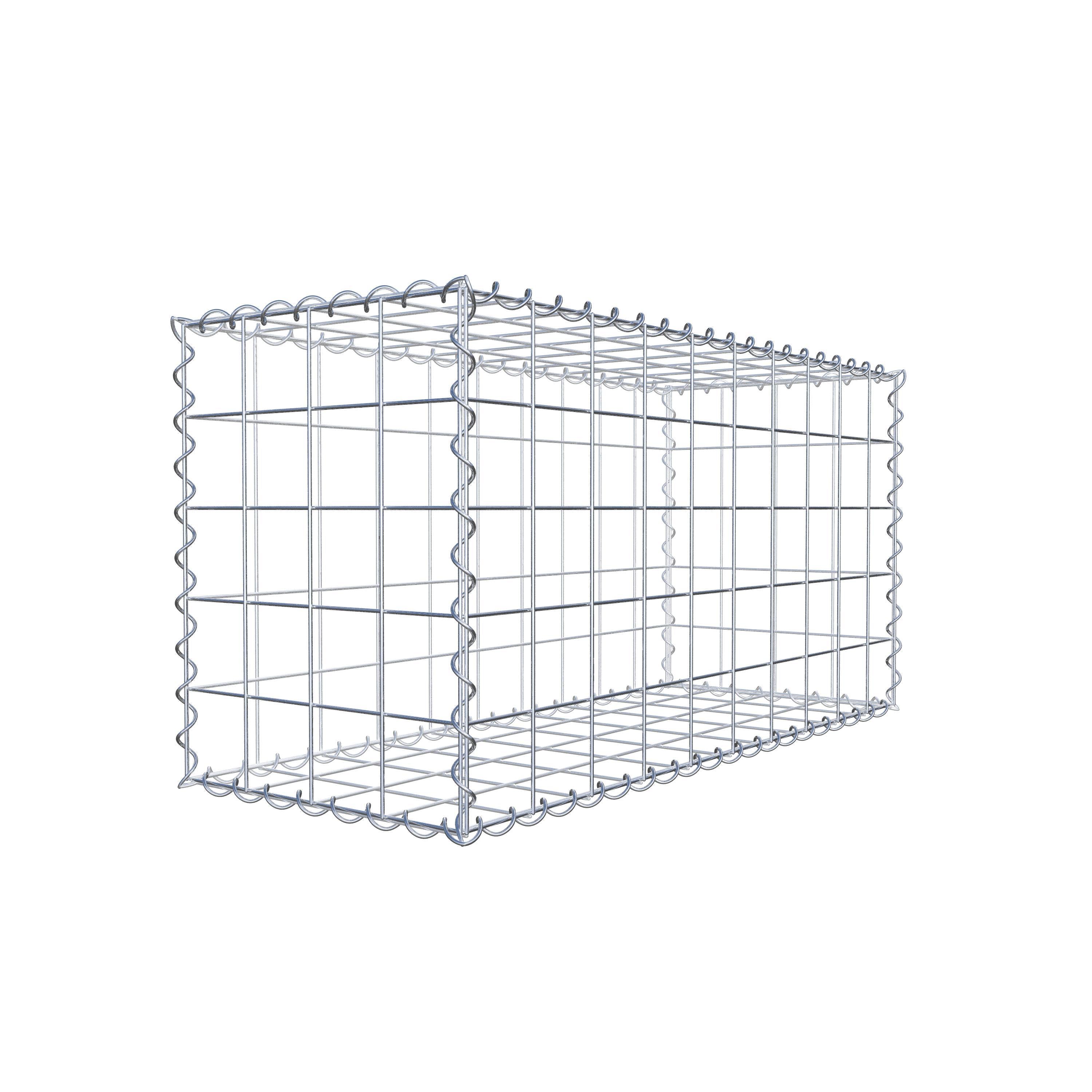 Gabion 100 cm x 50 cm x 40 cm (L x H x P), maille 10 cm x 10 cm, spirale