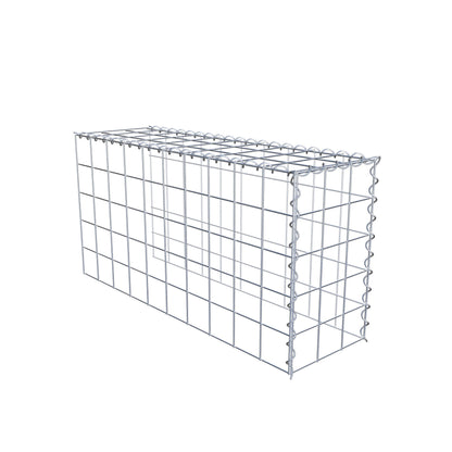 Grown-on gabion type 4 100 cm x 50 cm x 30 cm (L x H x D), mesh size 10 cm x 10 cm, spiral