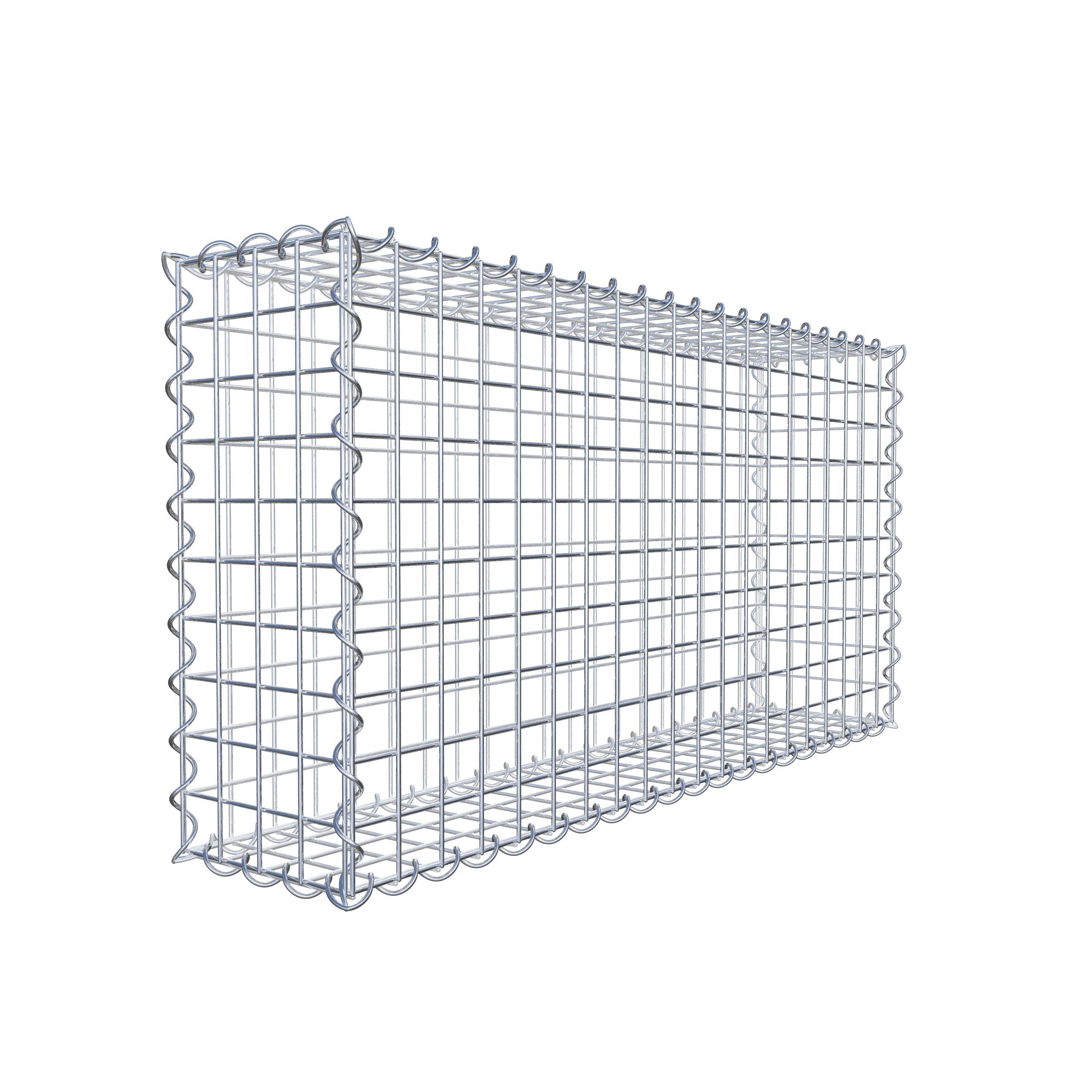 Gabion 100 cm x 50 cm x 20 cm (L x H x P), maille 5 cm x 5 cm, spirale