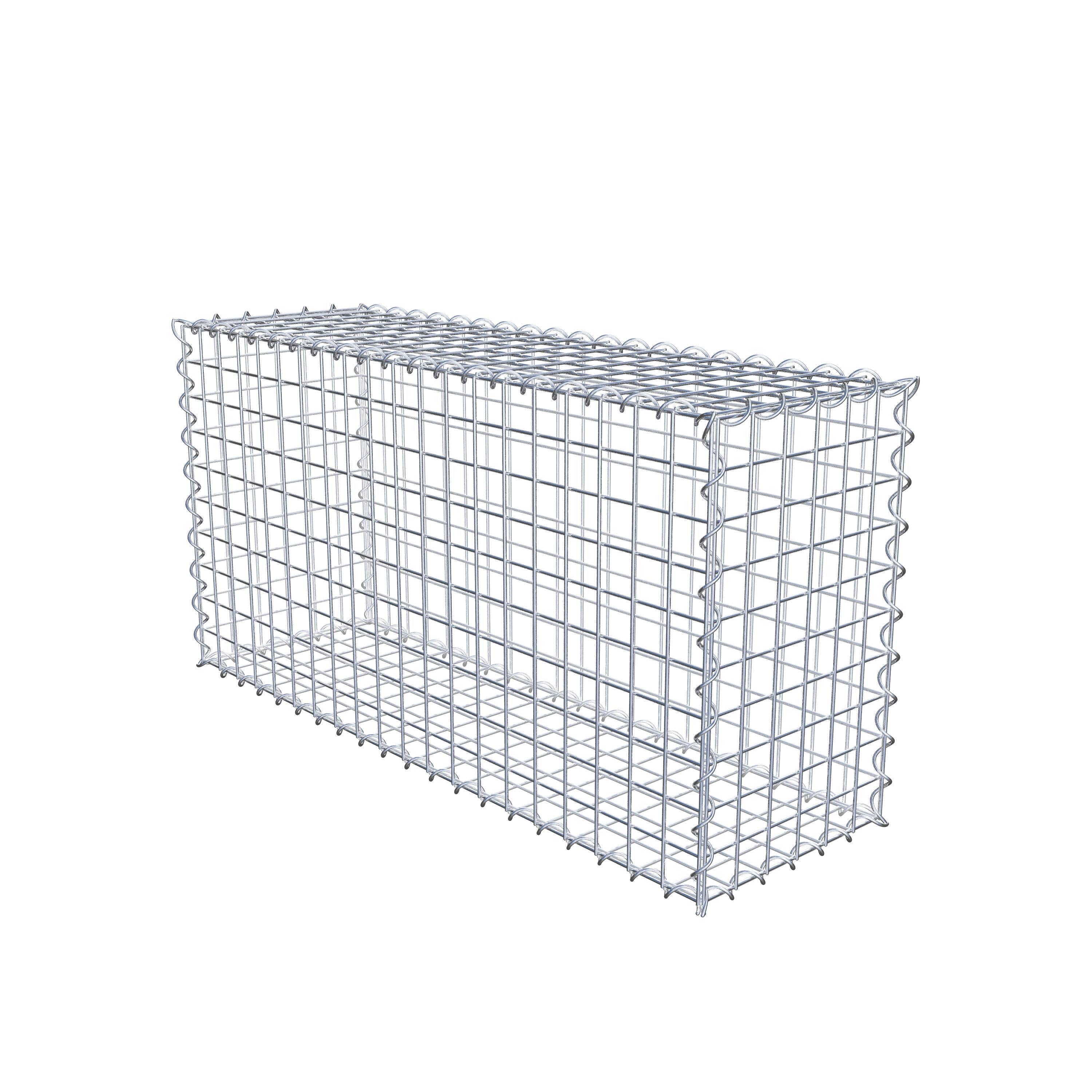 Gabion 100 cm x 50 cm x 30 cm (L x H x P), maille 5 cm x 5 cm, spirale