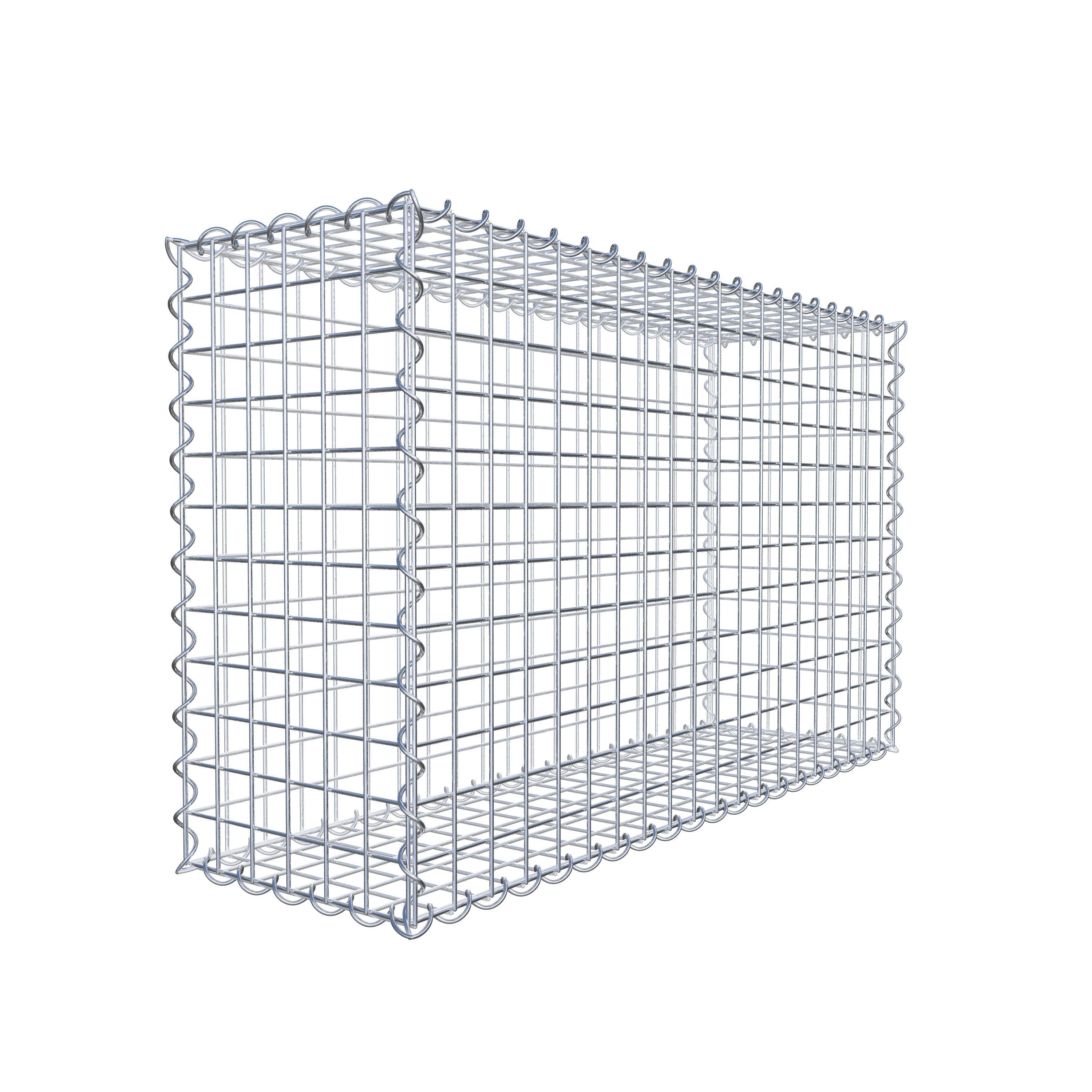 Gabion 100 cm x 60 cm x 30 cm (L x H x P), maille 5 cm x 5 cm, spirale