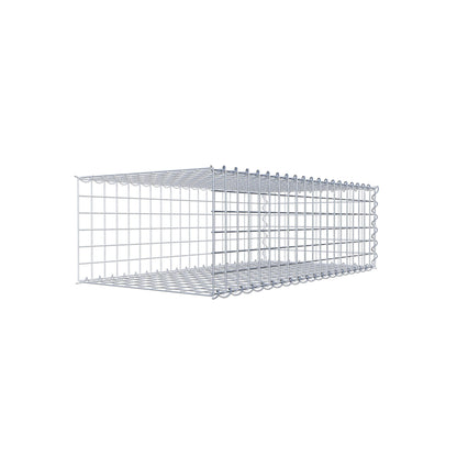 Grown-on gabion type 2 100 cm x 30 cm x 50 cm (L x H x D), mesh size 5 cm x 5 cm, spiral