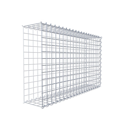 Grown-on gabion type 2 100 cm x 60 cm x 20 cm (L x H x D), mesh size 5 cm x 5 cm, spiral