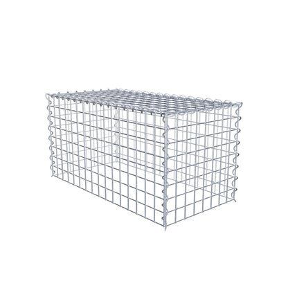 Grown-on gabion type 3 80 cm x 40 cm x 40 cm (L x H x D), mesh size 5 cm x 5 cm, spiral