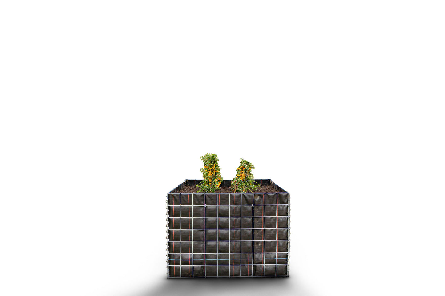 Rechthoekig verhoogd bed zonder stenen - Lengte: 100 cm - Hoogte: 70 cm - Diepte: 100 cm - Maaswijdte: 10 x 10 cm