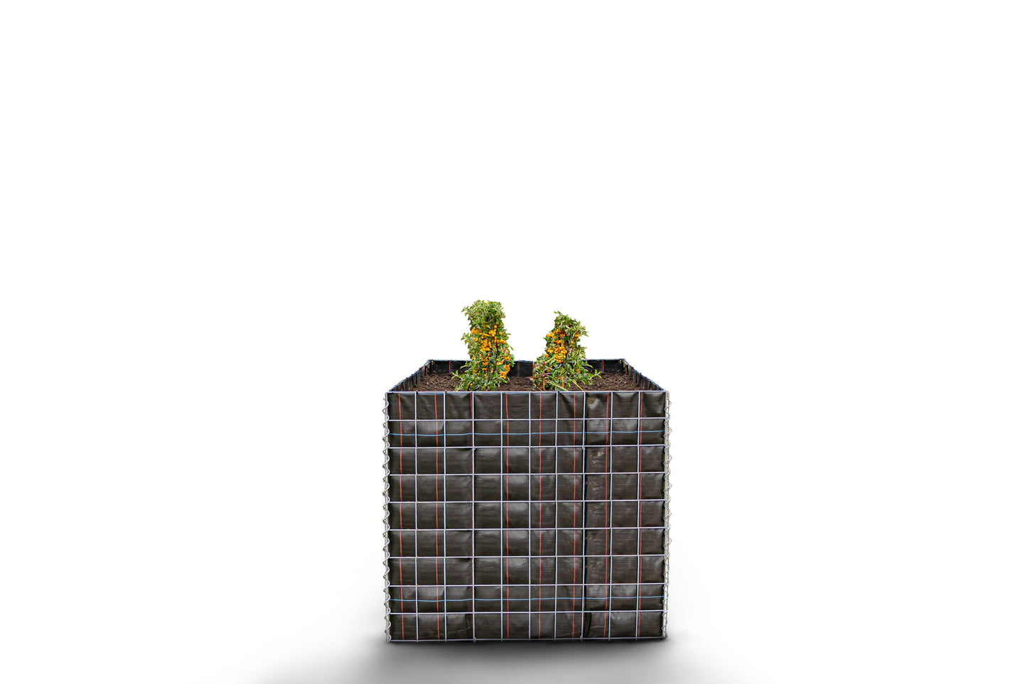 Letto rialzato rettangolare senza area in pietra - Lunghezza: 100 cm - Altezza: 90 cm - Profondità: 100 cm - Dimensione della rete: 10 x 10 cm