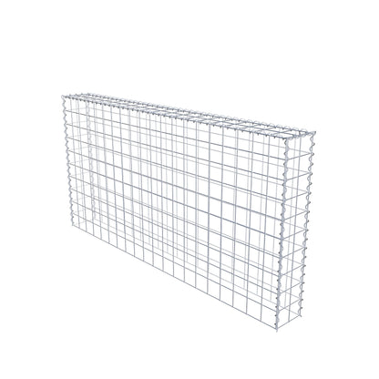 Grown-on gabion type 3 200 cm x 100 cm x 20 cm (L x H x D), mesh size 10 cm x 10 cm, spiral