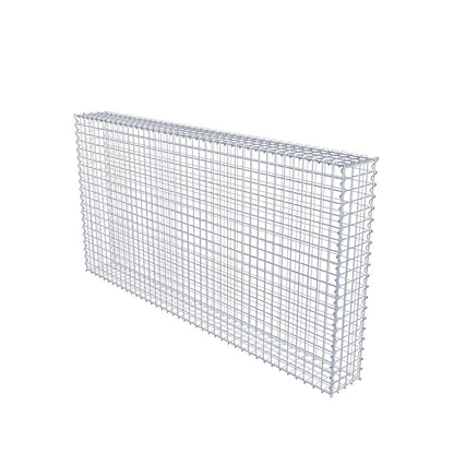 Gabion 200 cm x 100 cm x 20 cm (L x H x D), maskstorlek 5 cm x 5 cm, spiral