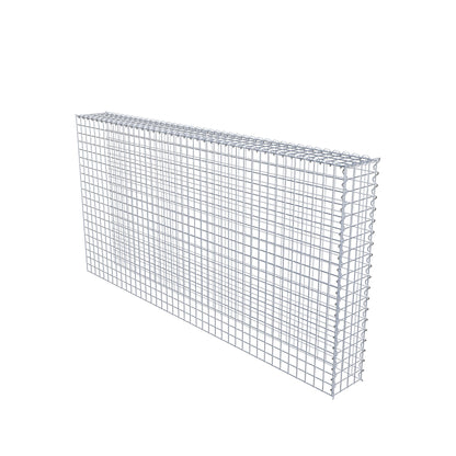 Grown-on gabion type 4 200 cm x 100 cm x 20 cm (L x H x D), mesh size 5 cm x 5 cm, spiral