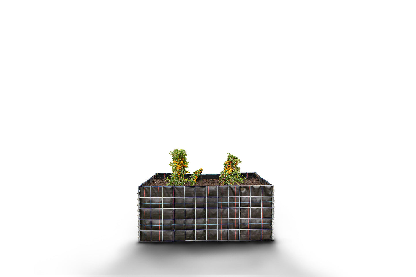 Højbed firkantet uden sten 120 cm x 50 cm x 50 cm