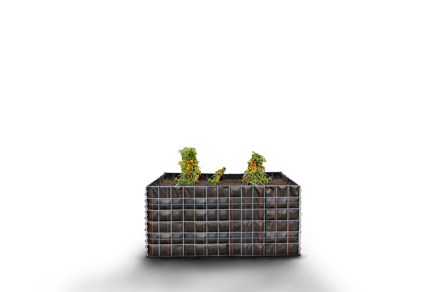 Rechthoekig verhoogd bed zonder stenen - Lengte: 130 cm - Hoogte: 60 cm - Diepte: 60 cm - Maaswijdte: 10 x 10 cm