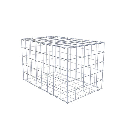 Gabion 80 cm x 50 cm x 50 cm (L x H x P), mailles 10 x 10 cm, anneau en spirale