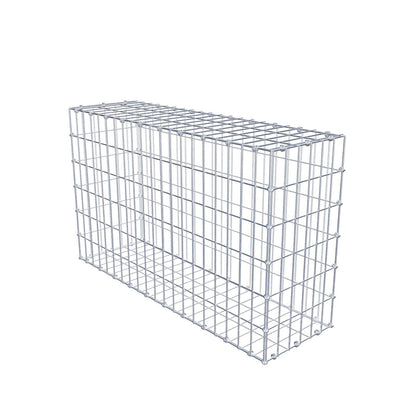 Gabion 100 cm x 60 cm x 30 cm (L x H x P), mailles 5 x 10 cm, anneau en spirale