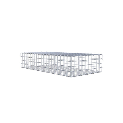 Gabion 100 cm x 20 cm x 50 cm (L x H x D), mesh size 5 cm x 5 cm, C-ring