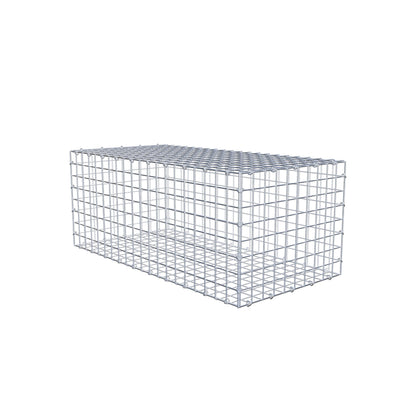 Gabion 100 cm x 40 cm x 50 cm (L x H x P), mailles 5 cm x 5 cm, anneau en C