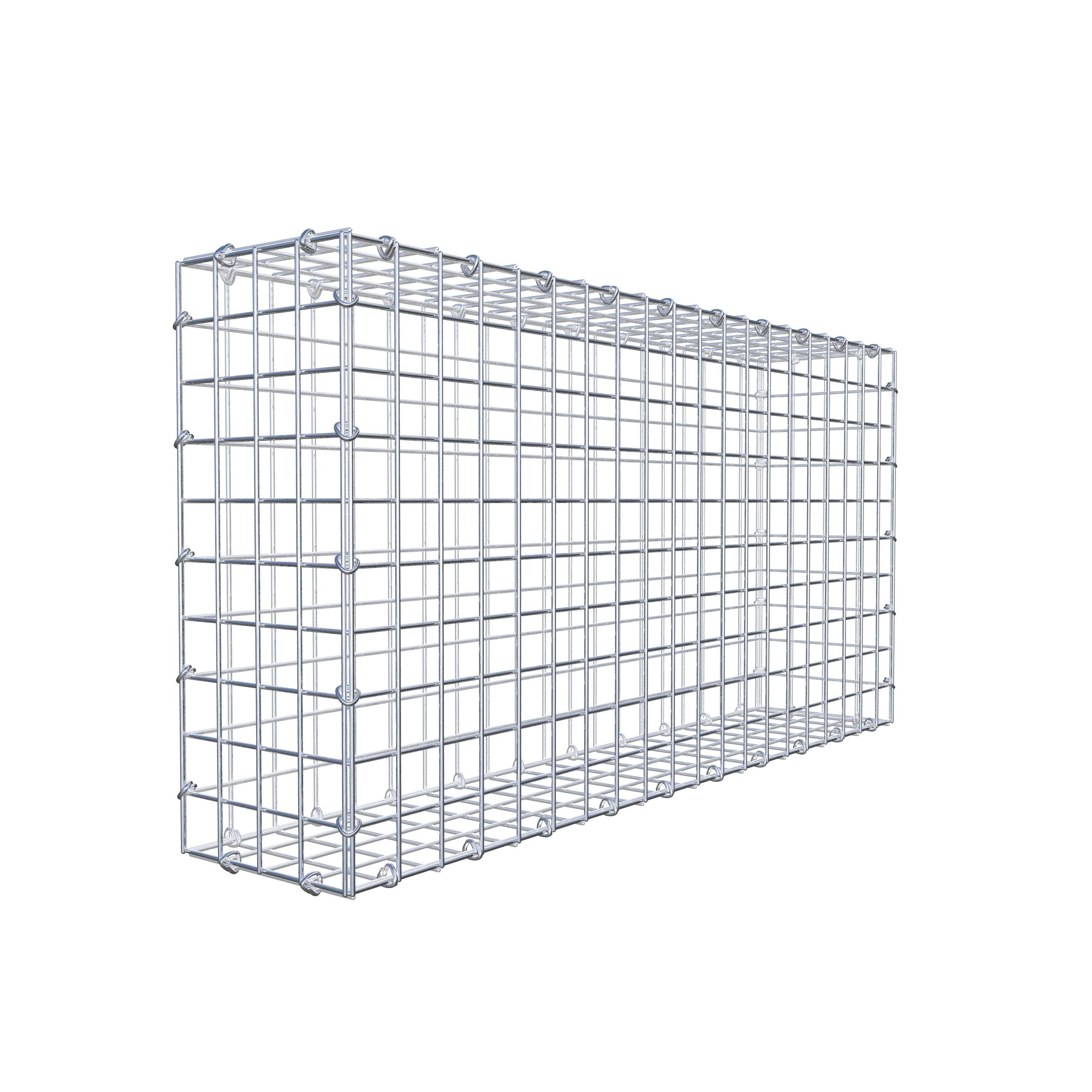 Gabion 100 cm x 50 cm x 20 cm (L x H x P), maille 5 cm x 5 cm, anneau en C