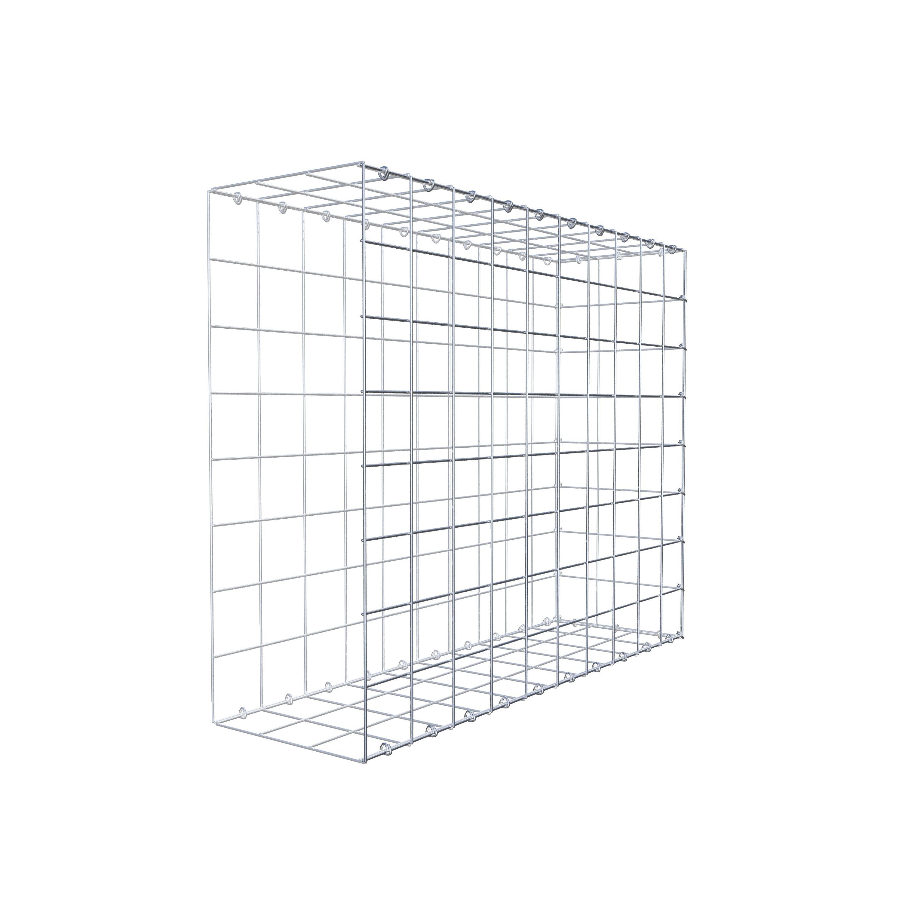 Type 2 oplegkorf 100 cm x 80 cm x 30 cm (L x H x D), maaswijdte 10 cm x 10 cm, C-ring