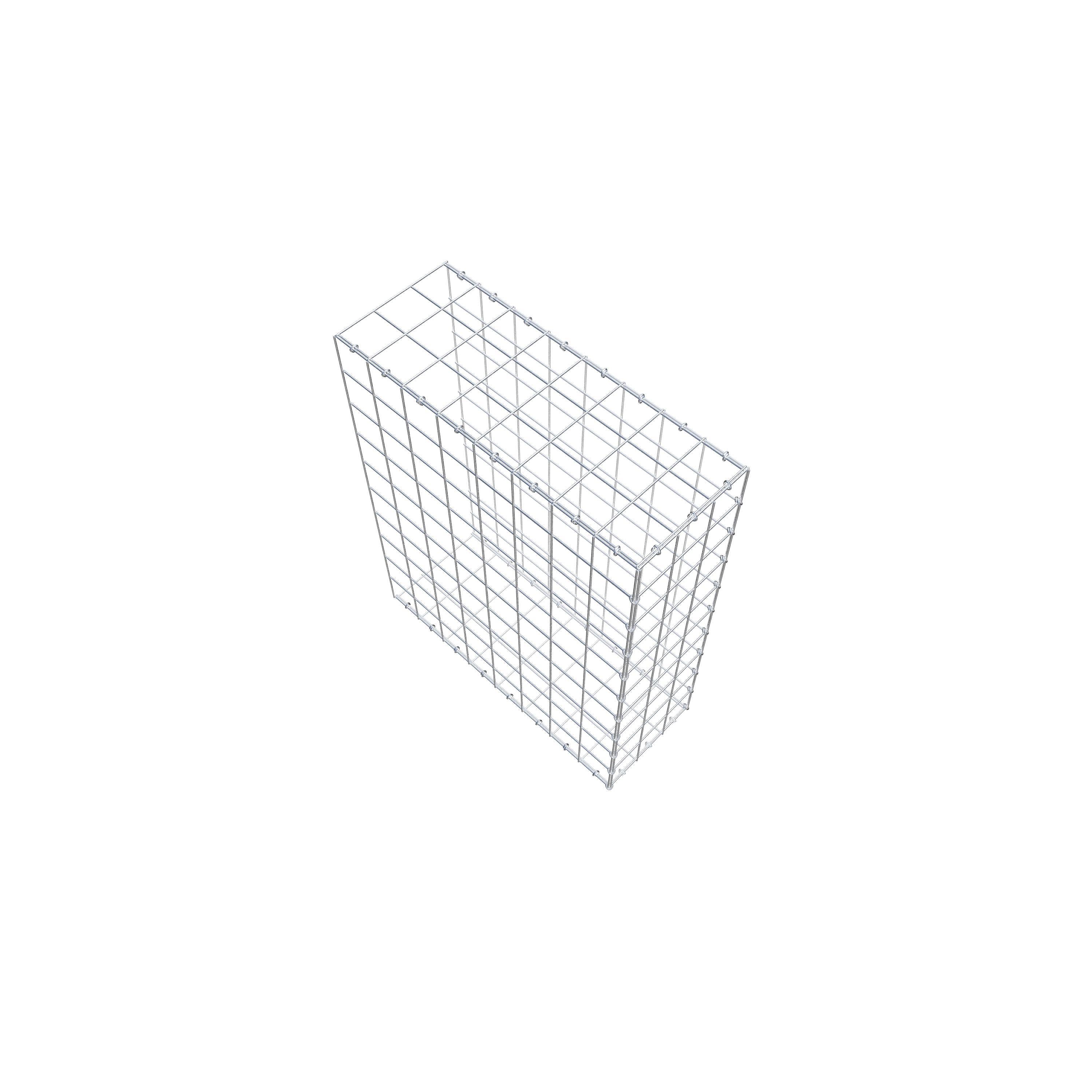 Type 2 oplegkorf 100 cm x 80 cm x 30 cm (L x H x D), maaswijdte 10 cm x 10 cm, C-ring