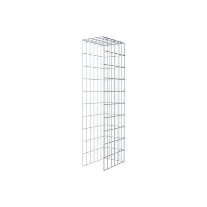 Monteret gabion type 4 100 cm x 30 cm x 20 cm (L x H x D), maskestørrelse 5 cm x 10 cm, C-ring