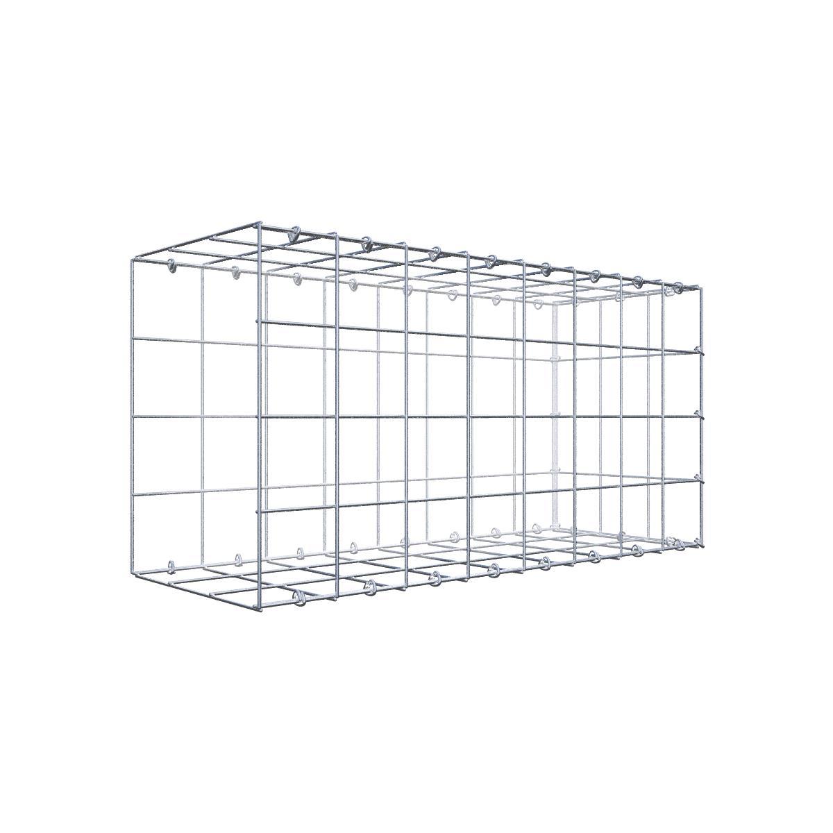 Gabione 10x10 080x040x030 Typ2 C-Ring