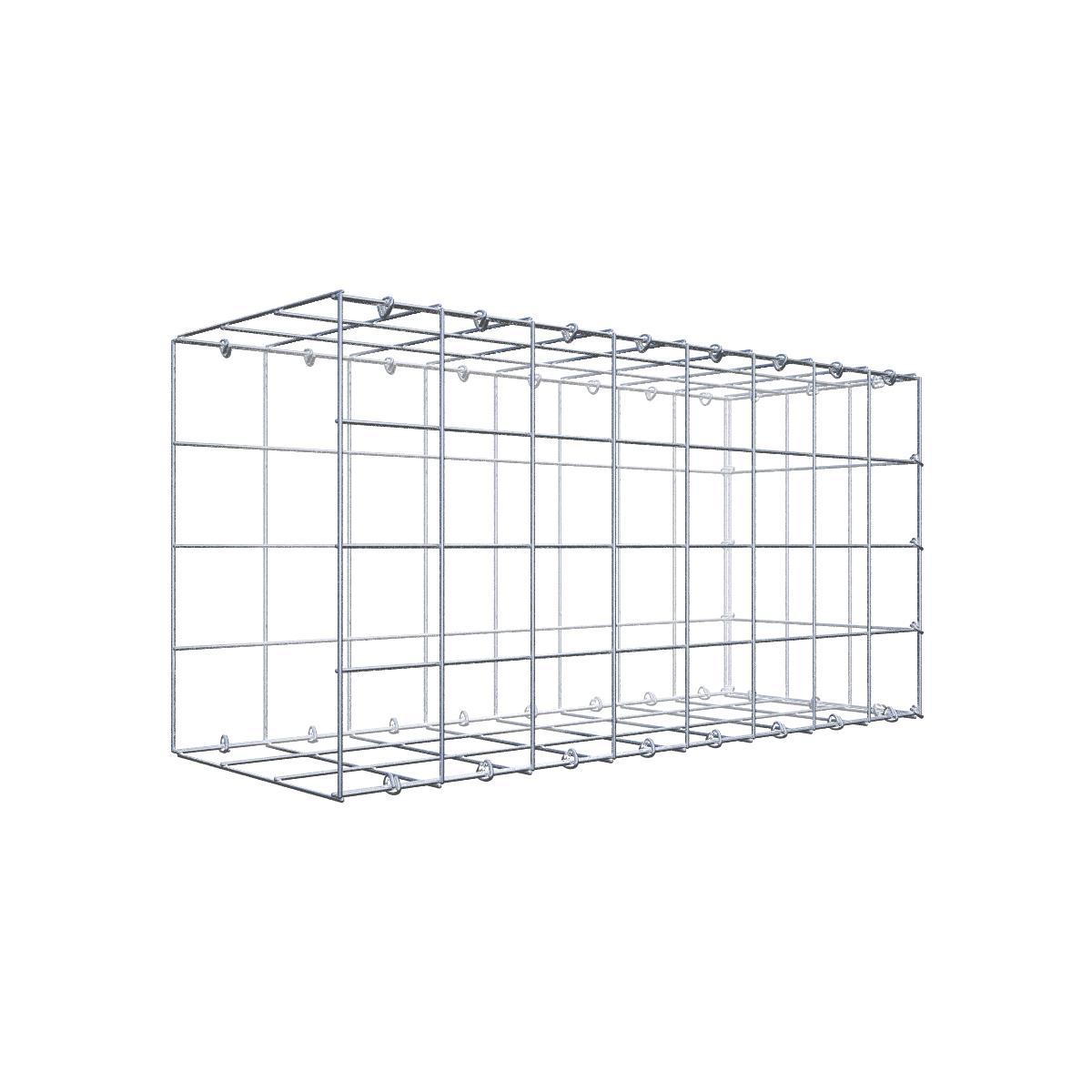 Gabione 10x10 080x040x030 Typ2 C-Ring