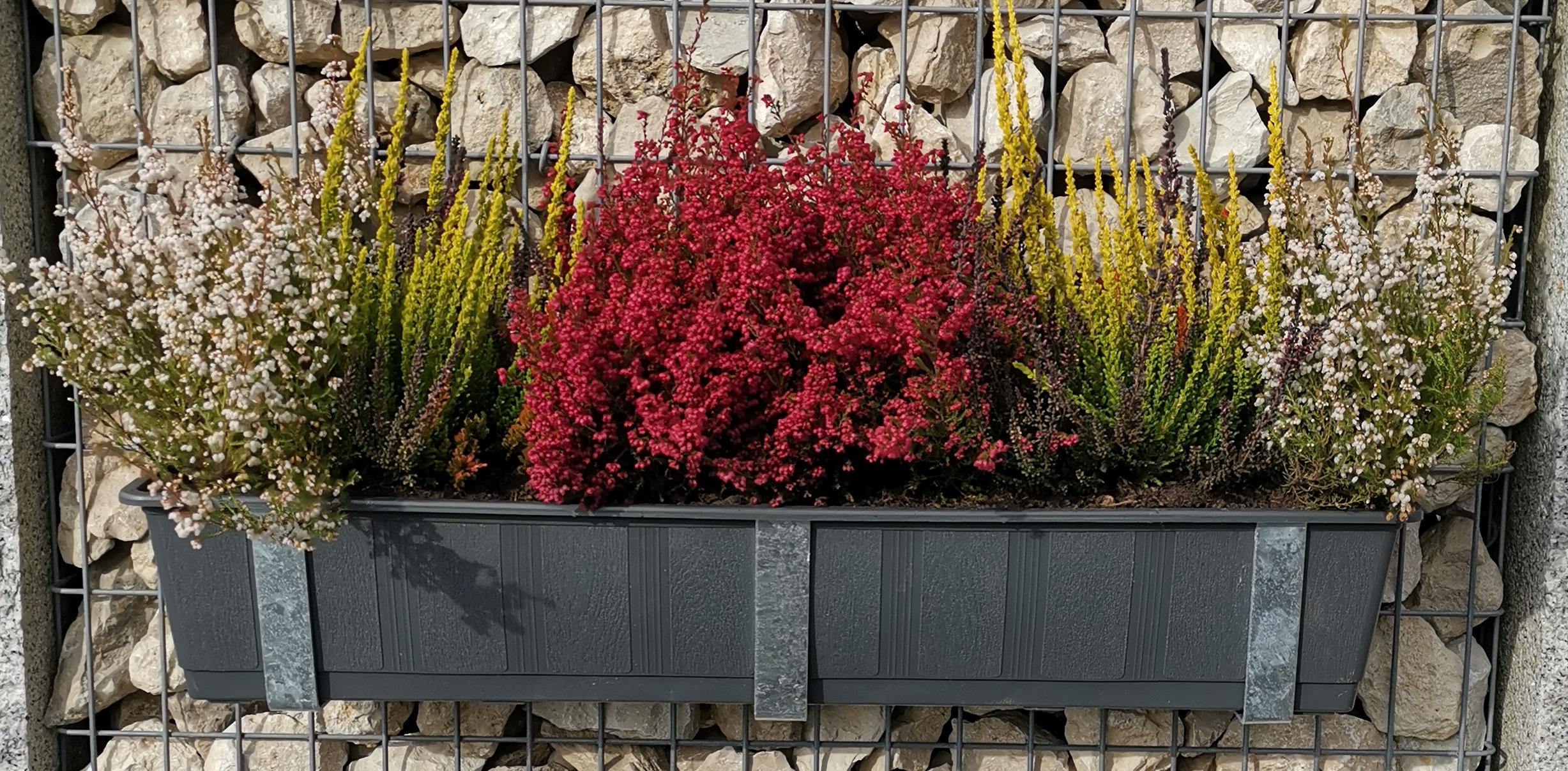 Support pour bac à fleurs galvanisé en lot de 3 avec pot de fleur, pour gabions MW 5 x 10