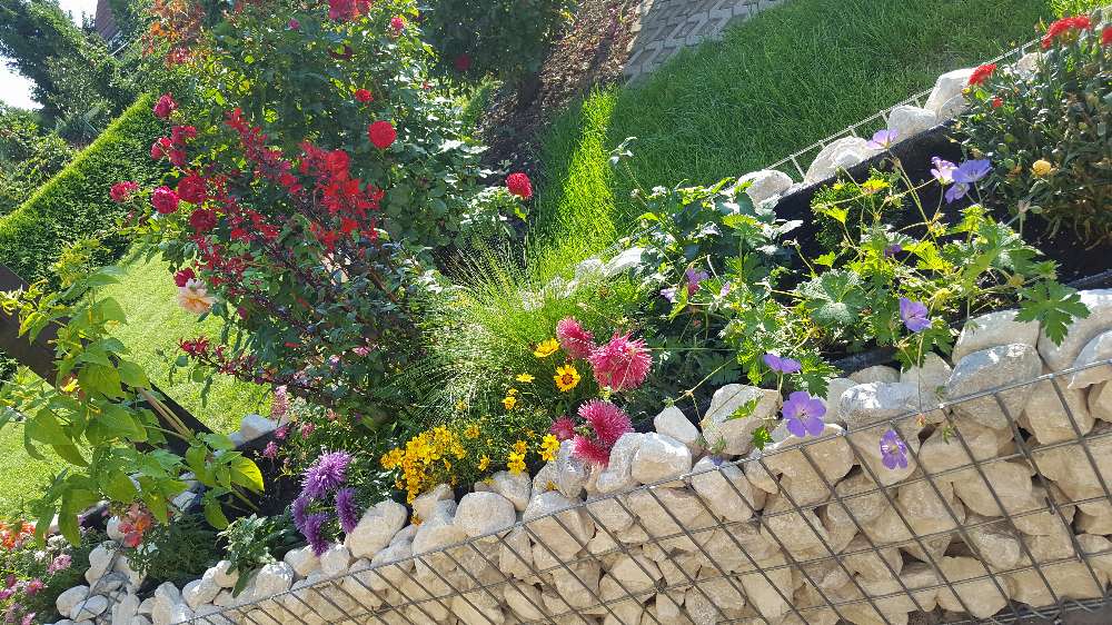 Gabion raised bed made to measure - mesh size 5x10cm