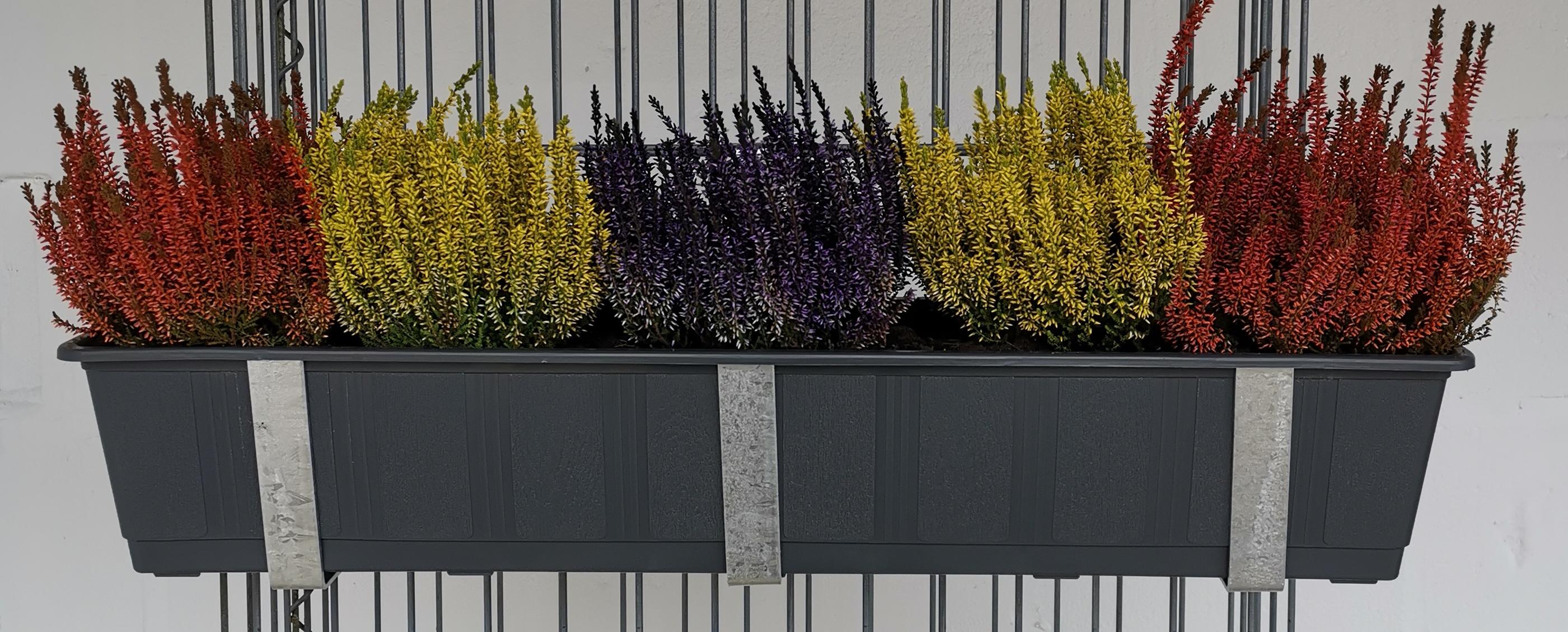 Support pour bac à fleurs galvanisé en lot de 3 avec pot de fleur, pour gabions MW 5 x 20