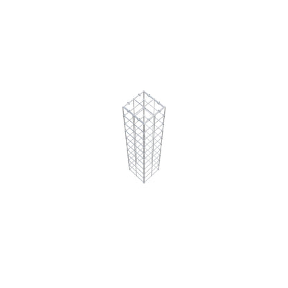 Anbaugabione Typ 3 100 cm x 20 cm x 20 cm (L x H x T), Maschenweite 10 cm x 10 cm, C-Ring