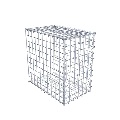 Grown-on gabion type 2 50 cm x 50 cm x 30 cm (L x H x D), mesh size 5 cm x 5 cm, spiral