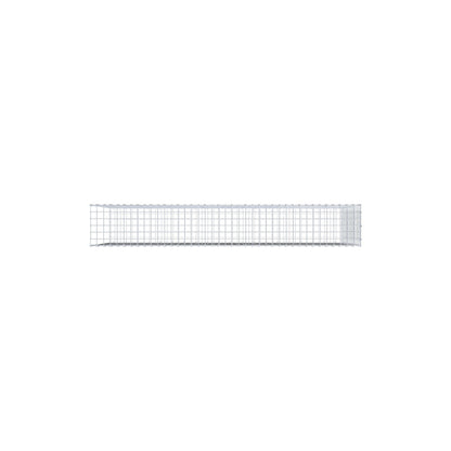 Anbaugabione Typ 2 200 cm x 100 cm x 30 cm (L x H x T), Maschenweite 5 cm x 5 cm, C-Ring