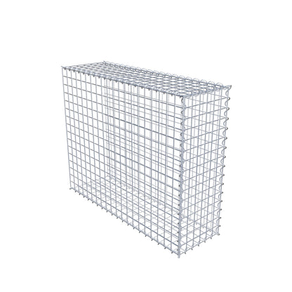 Anbaugabione Typ 2 100 cm x 80 cm x 30 cm (L x H x T), Maschenweite 5 cm x 5 cm, Spirale
