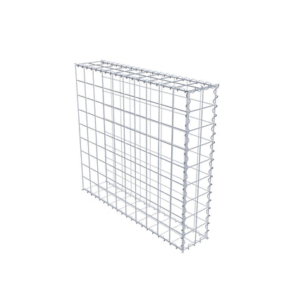 Grown-on gabion type 2 100 cm x 90 cm x 20 cm (L x H x D), mesh size 10 cm x 10 cm, spiral