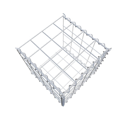 Grown-on gabion type 2 40 cm x 40 cm x 40 cm (L x H x D), mesh size 10 cm x 10 cm, spiral