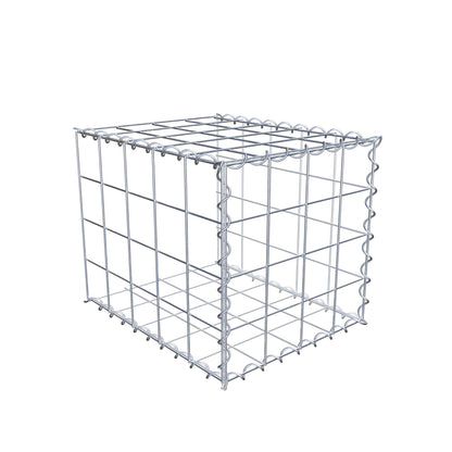 Grown-on gabion type 2 50 cm x 40 cm x 40 cm (L x H x D), mesh size 10 cm x 10 cm, spiral