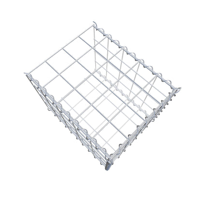 Grown-on gabion type 2 50 cm x 40 cm x 40 cm (L x H x D), mesh size 10 cm x 10 cm, spiral