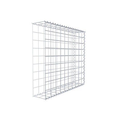 Grown-on gabion type 2 100 cm x 90 cm x 20 cm (L x H x D), mesh size 10 cm x 10 cm, spiral