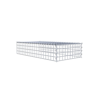 Opvokset gabion type 4 100 cm x 20 cm x 50 cm (L x H x D), maskestørrelse 5 cm x 5 cm, spiral