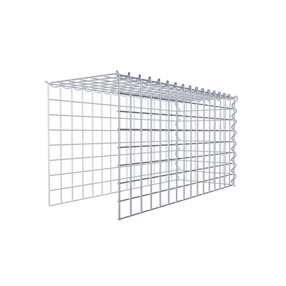 Opvokset gabion type 4 80 cm x 40 cm x 30 cm (L x H x D), maskestørrelse 5 cm x 5 cm, spiral