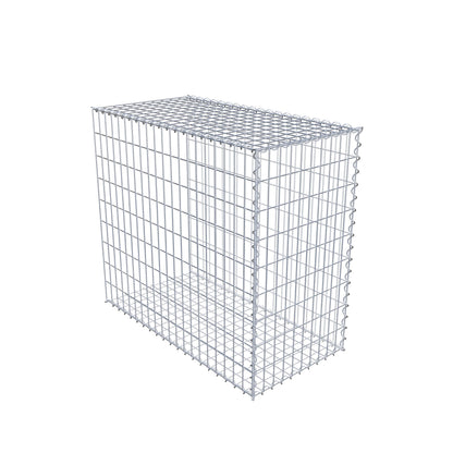 Grown-on gabion type 2 100 cm x 90 cm x 50 cm (L x H x D), mesh size 5 cm x 10 cm, spiral