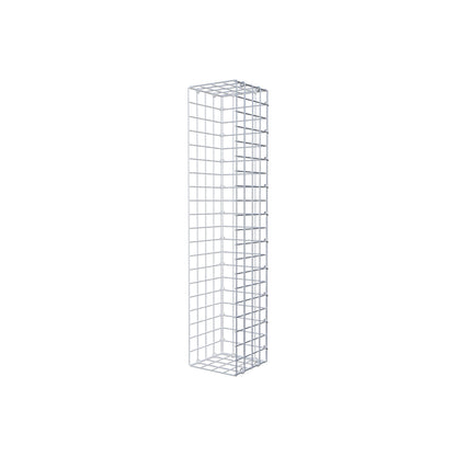 Monteret gabion type 2 100 cm x 20 cm x 20 cm (L x H x D), maskestørrelse 5 cm x 5 cm, C-ring