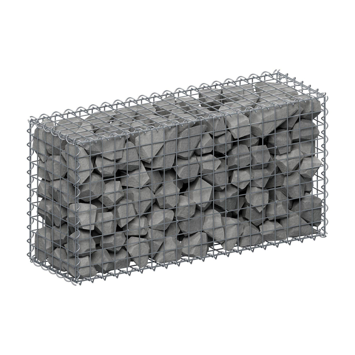 Gabion 100 cm x 50 cm x 30 cm (L x H x P), mailles 5 cm x 5 cm, spirale