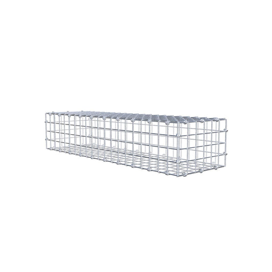 Gabbione 100 cm x 20 cm x 30 cm (L x H x P), maglia 5 x 5 cm, anello a spirale