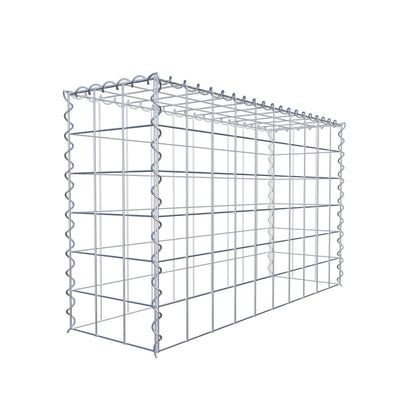 Grown-on gabion type 3 100 cm x 60 cm x 30 cm (L x H x D), mesh size 10 cm x 10 cm, spiral