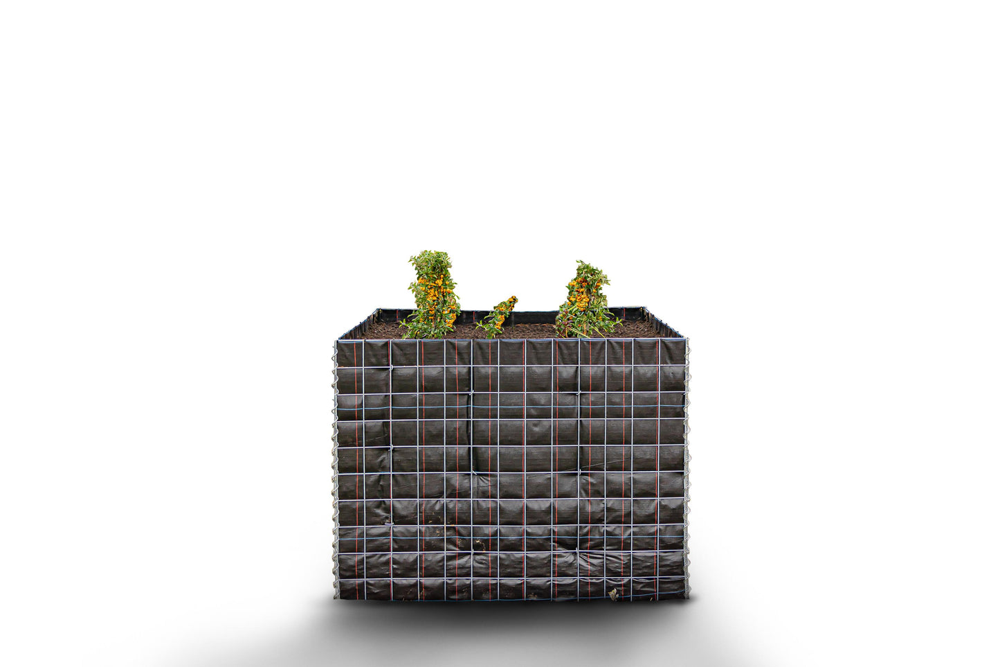 Högbädd, fyrkantig utan stenområde - Längd: 130 cm - Höjd: 100 cm - Djup: 50 cm - Maskstorlek: 10 x 10 cm