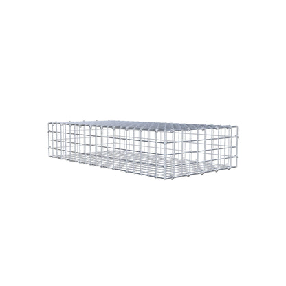 Gabion 100 cm x 20 cm x 50 cm (L x H x P), mailles 5 cm x 5 cm, anneau en C