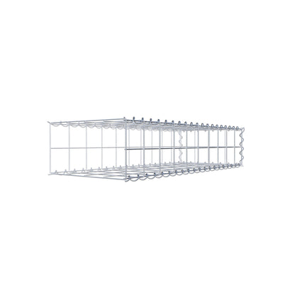 Grown-on gabion type 2 100 cm x 20 cm x 40 cm (L x H x D), mesh size 10 cm x 10 cm, spiral
